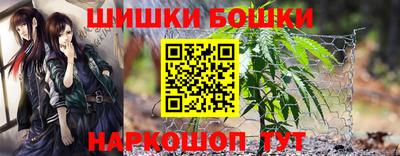 прущие крисы Донецк